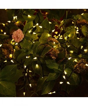 50 LED 17ft Christmas String Lights- Upgrade Mini Clear Fairy Lights Battery Powered- Green Wire String Light for Christmas O...