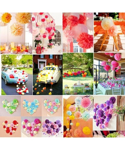 Art Craft Pom Poms Tissue Paper Flower 15pcs 8 inch 10 inch 12 inch Decorative Hanging Flower Balls DIY Paper Craft for Weddi...