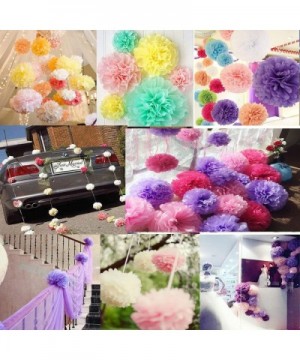 Art Craft Pom Poms Tissue Paper Flower 15pcs 8 inch 10 inch 12 inch Decorative Hanging Flower Balls DIY Paper Craft for Weddi...