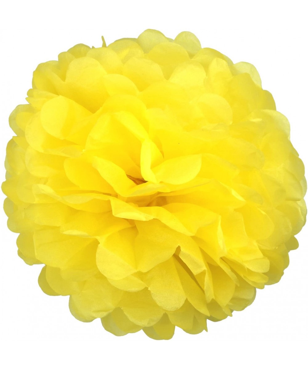 10pcs DIY Decorative Tissue Paper Pom-poms Flowers Ball Perfect for Party Wedding Home Outdoor Decoration (10-inch Diameter- ...