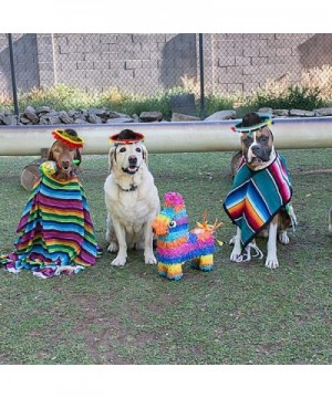 4 Pack Fiesta Headband Mini Mexican Headband Hat Straw Sombrero Hat Fiesta Party Hats for Fiesta Birthday Party Cinco de Mayo...