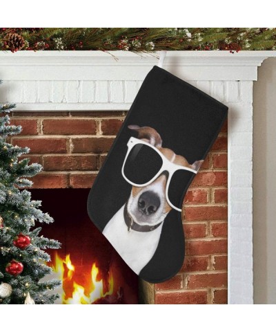 Funny Jack Russell Terrier Puppy Dog Christmas Stocking 17.52 Inches Christmas Decorations and Party Accessory for Kids Women...