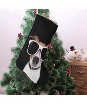 Funny Jack Russell Terrier Puppy Dog Christmas Stocking 17.52 Inches Christmas Decorations and Party Accessory for Kids Women...