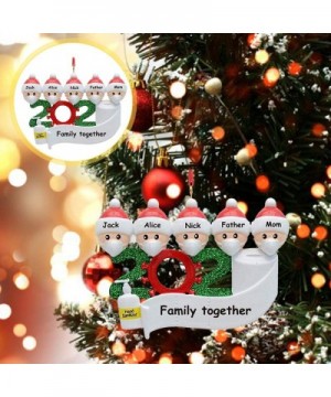 Customised Christmas Decor Survived Family 2020 Ornament - Indoor Decorations with Masks & Hand Sanitizer 2020 Personalised G...