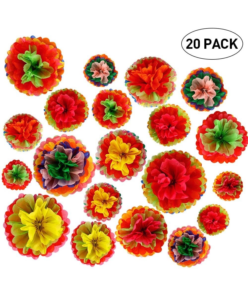 20 Pieces Tissue Paper Pom Poms Flowers Ball Rainbow Color Fiesta Decorations Mexican Mayo Party Supplies Centerpieces for Bi...