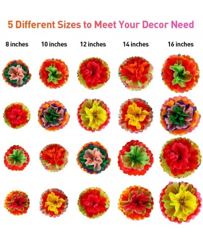 20 Pieces Tissue Paper Pom Poms Flowers Ball Rainbow Color Fiesta Decorations Mexican Mayo Party Supplies Centerpieces for Bi...