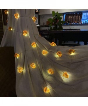 3D Twinkle Acorn Fall Decorations Harvest String Lights- Full Size Autumn Acorn 10 feet 30 LEDs USB Operated with Remote for ...