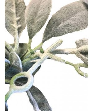 Elegant Blooms & Things Artificial Lamb's Ear Greenery Garland- 6 Ft Long - CV18K3WWW75 $14.18 Garlands