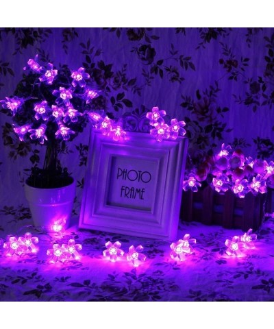 Flower String Lights- Sakura Lights- Cute Room Decor Plug in 33Ft 100LEDs Waterproof Christmas Decorative Lights- for Garden ...