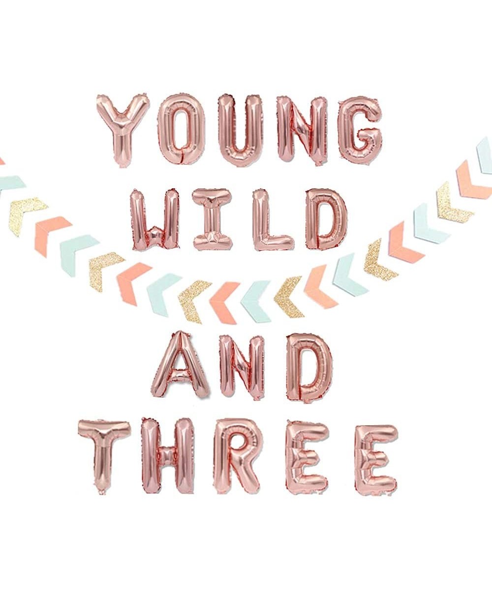 Young Wild and Three Balloon Young Wild and Three Banner Young Wild and Three Decorations for Girl Third Birthday Decorations...