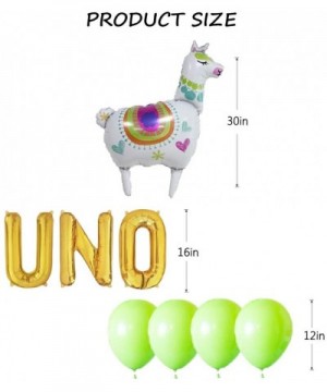 UNO Birthday Party Decorations- UNO Balloons Cactus Llama Fiesta Mexican Themed Banner for 1st First Fiesta Taco 2sday Twosda...