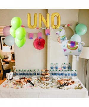 UNO Birthday Party Decorations- UNO Balloons Cactus Llama Fiesta Mexican Themed Banner for 1st First Fiesta Taco 2sday Twosda...