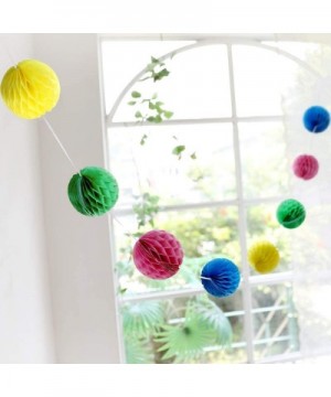 2Pack Honeycomb Garland pom pom Garland Tissue Paper Happy Birthday Banner Rainbow Party Decorations Birthday Decorations Cla...