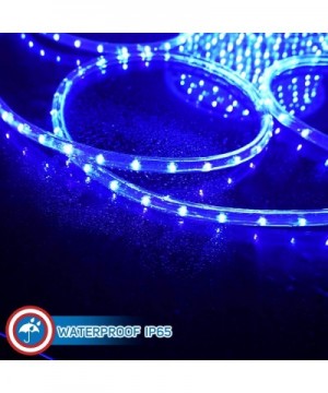 LED Rope Lights Festival Holiday Party Seasonal Christmas Decoration 30ft - 200ft Customized Available (Blue- 30) - Blue - CY...