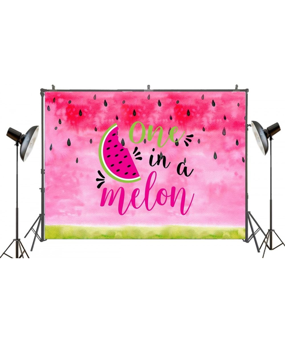 Pink Watermelon Theme Backdrop One in a Melon Children 1st Birthday Party Cake Table Banner Decoration Banner Summer Fruit Ph...