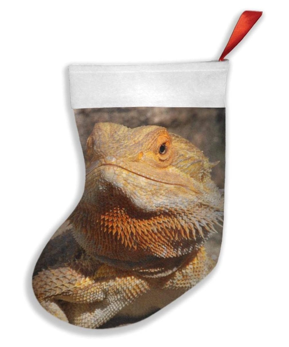Bearded Dragon Personalized Christmas Stocking for Family Holiday Xmas Party Decorations - Bearded Dragon - CI18AGHAMG7 $11.9...