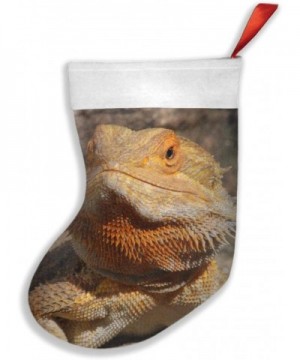 Bearded Dragon Personalized Christmas Stocking for Family Holiday Xmas Party Decorations - Bearded Dragon - CI18AGHAMG7 $11.9...