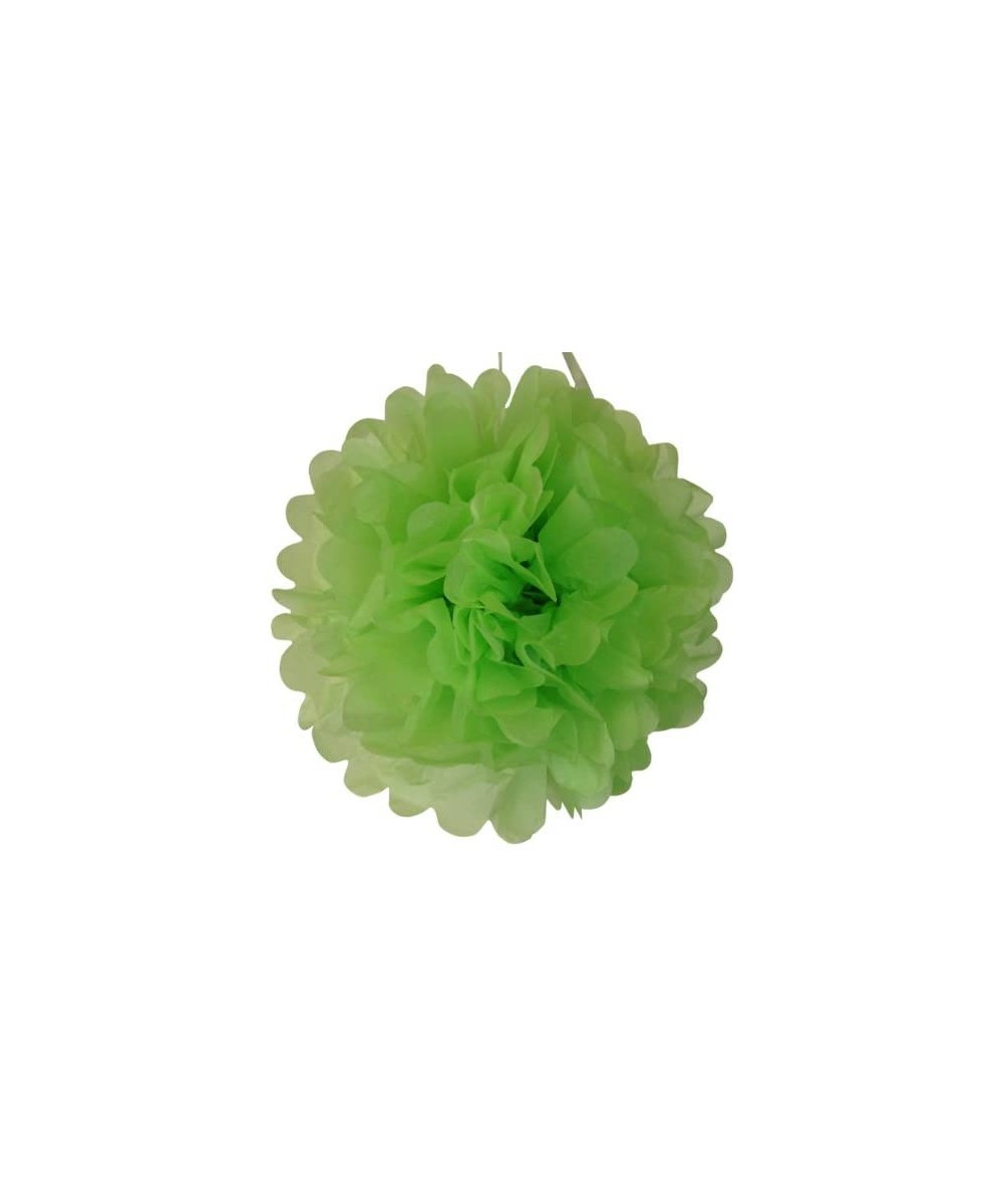 Tissue Pom Pom Paper Flower Ball 8inch Key Lime - Key Lime - CH11H6OEURT $5.67 Tissue Pom Poms
