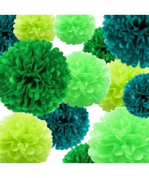 Tissue Paper Pom Poms Decorations 22PCS-Green Paper Flower Ball for Birthday Bachelorette Wedding Baby Shower Bridal Shower N...