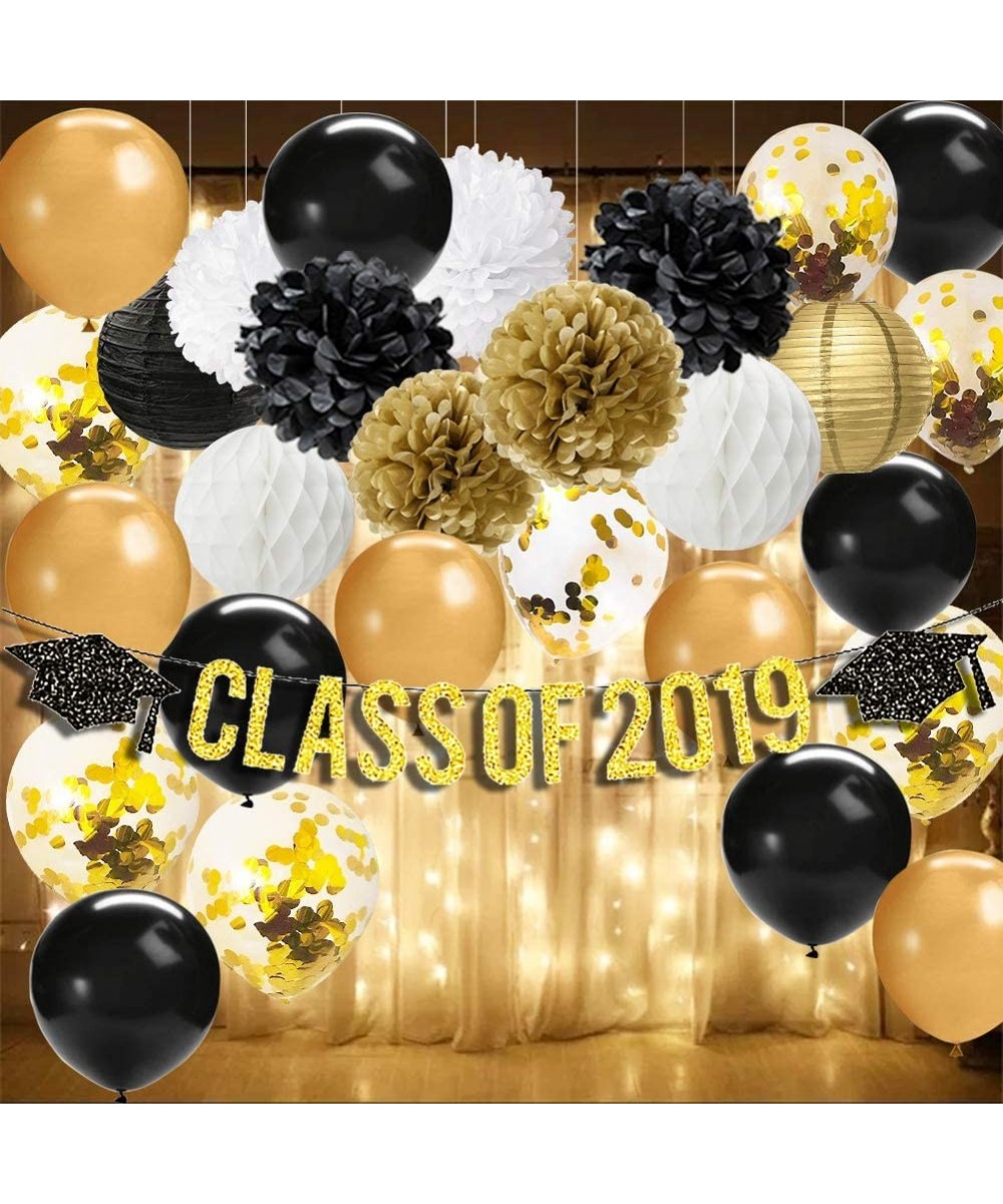 Graduation Decorations 2019-Class of 2019 Banner-Battery Powered LED String Lights Starry String Light-Tissue Pom Poms-Paper ...