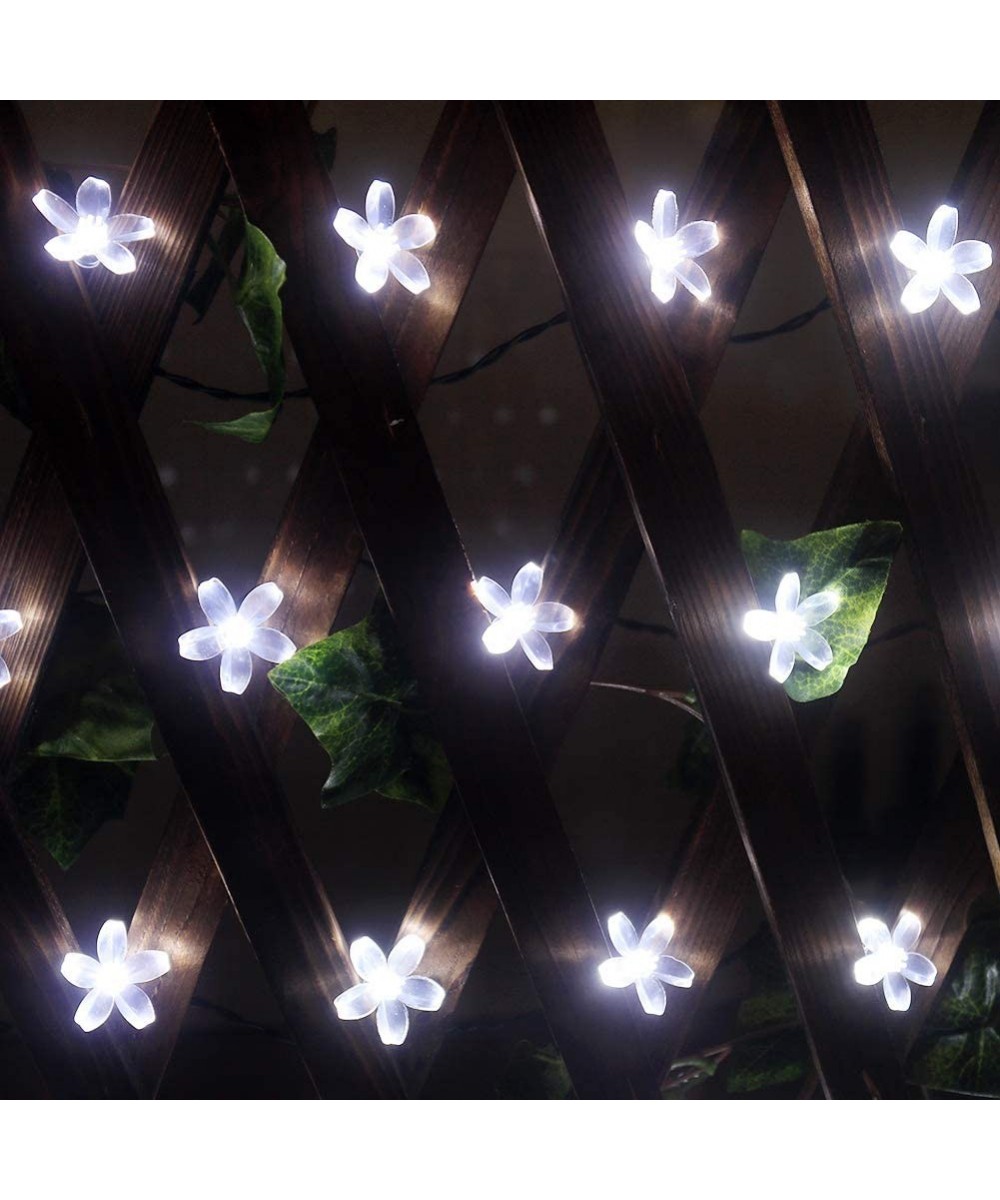 Flower Fairy Lights Outdoor Waterproof Solar Christmas Lights 36ft 60 LED Solar Balcony Lights 8 Modes Cherry Blossom Lights ...