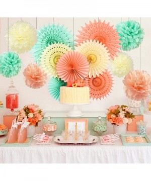 Baby Shower Decorations Bridal Shower Decorations Mint Green Peach Cream Paper Fan Tissue Pom Pom Bridal Shower Birthday Deco...