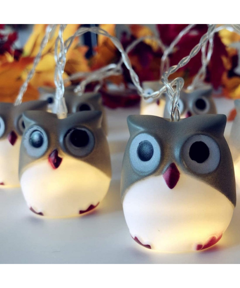 Flexible Owl String Lights for Holiday-Halloween String Lights Decoration-Battery Operated 1.65M 10 LED Lights for Halloween ...
