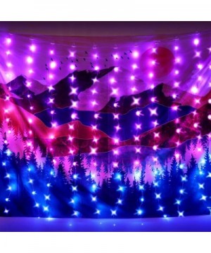 LED Window Curtain Lights- Photo Backdrop Lights Twinkle String Lights with Remote Control for Wedding Party Bedroom Wall Chr...