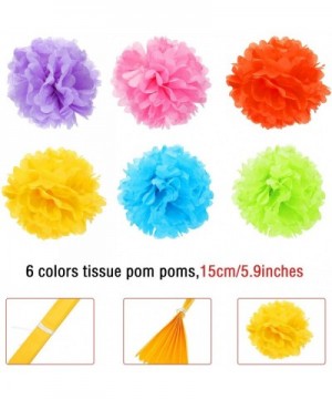 29 Pieces Mexican Fiesta Party Decorations- Includes 6 Pieces Colorful Hanging Paper Fans- 6 Pieces Pom Poms Flowers- 15 Piec...