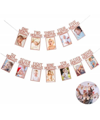 1st Birthday Baby Photo Banner- 1st Birthday Bunting Garland Baby 1-12 Month Photo Prop Party Bunting Decor- First Birthday C...