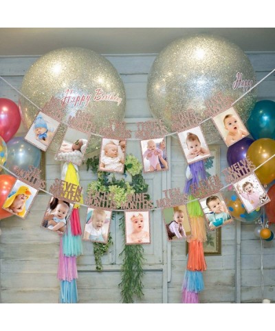 1st Birthday Baby Photo Banner- 1st Birthday Bunting Garland Baby 1-12 Month Photo Prop Party Bunting Decor- First Birthday C...