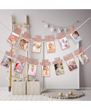 1st Birthday Baby Photo Banner- 1st Birthday Bunting Garland Baby 1-12 Month Photo Prop Party Bunting Decor- First Birthday C...