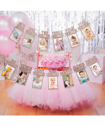 1st Birthday Baby Photo Banner- 1st Birthday Bunting Garland Baby 1-12 Month Photo Prop Party Bunting Decor- First Birthday C...