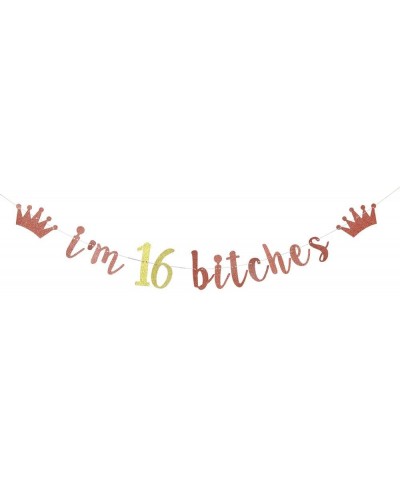 I'm 16 Bitches Banner- 16th Birthday Party Decor- Funny Sixteen Years Old Birthday Banner- Girl's 16th Birthday Party Decorat...