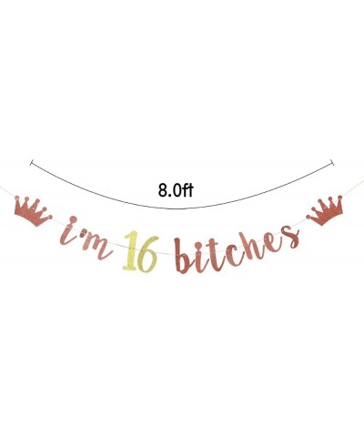 I'm 16 Bitches Banner- 16th Birthday Party Decor- Funny Sixteen Years Old Birthday Banner- Girl's 16th Birthday Party Decorat...