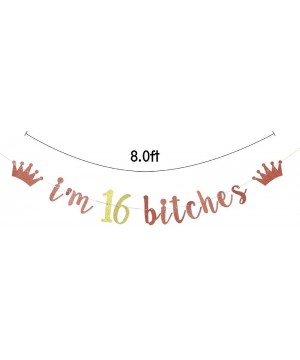 I'm 16 Bitches Banner- 16th Birthday Party Decor- Funny Sixteen Years Old Birthday Banner- Girl's 16th Birthday Party Decorat...