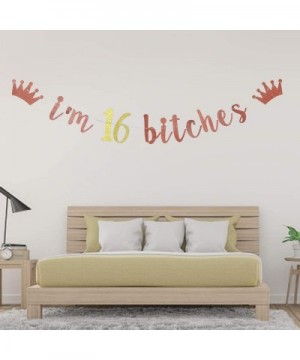 I'm 16 Bitches Banner- 16th Birthday Party Decor- Funny Sixteen Years Old Birthday Banner- Girl's 16th Birthday Party Decorat...