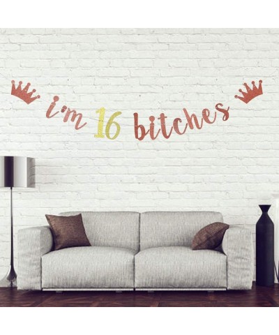 I'm 16 Bitches Banner- 16th Birthday Party Decor- Funny Sixteen Years Old Birthday Banner- Girl's 16th Birthday Party Decorat...