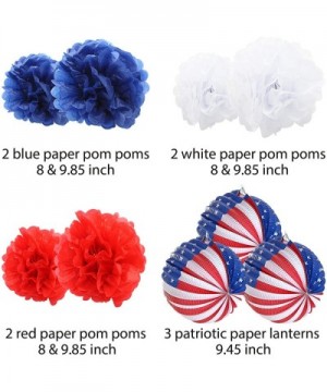 21 Pcs Patriotic Party Supplies 12 Paper Fan- 6 Flower Ball- 3 Flag Ball for 4th of July- Independence Day- Memorial Day- Vet...