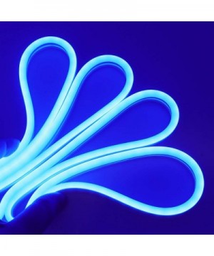LED Strip Lights- LED Neon Light Rope- Outdoor Flexible Light- DC 12V 16.4 Ft/5m 2835 600 LEDs Silicone Tape Light for Home- ...
