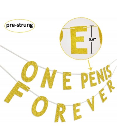 15 Pcs Bachelorette Party Decorations Kit One Penis Forever Banner Sign Tissue Paper Pom Poms Paper Lanterns - CX186HRCH5H $6...