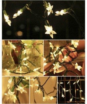 LED Christmas String Light Star Fairy Lights 12Ft 35 LEDs Warm White Waterproof Connectable UL Listed Rope Light for Xmas Tre...