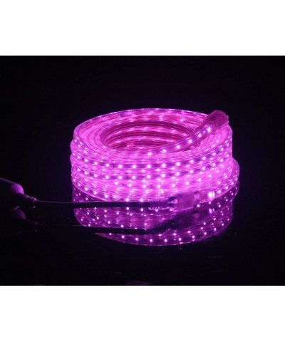 UL Listed- 16.4 Feet- 1800 Lumen- Pink- Dimmable- 110-120V AC Flexible Flat LED Strip Rope Light- 300 Units 3528 SMD LEDs- In...
