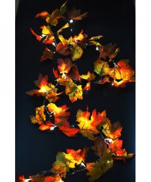 Thanksgiving Decorations Lighted Fall Garland - 8.2 Feet - 20 Lights - CQ1864KE38U $11.12 Indoor String Lights