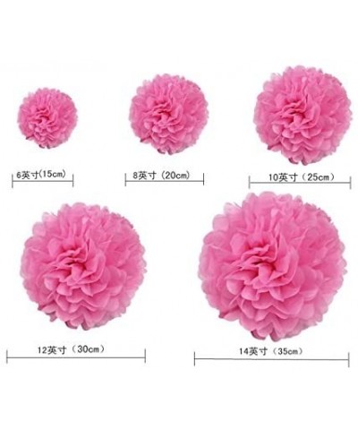 5pcs Tissue Paper Pom-poms Flower Ball Wedding Party Outdoor Decoration Wedding / Baby Shower / Birthday Party / Nursery Deco...