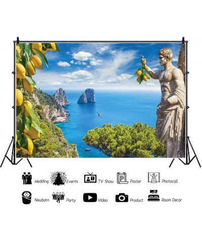 7x5ft Italy Capri Island Landscape Backdrop Faraglioni Rocks Statue of Emperor Augustus Lemons Background Travel Events Inter...