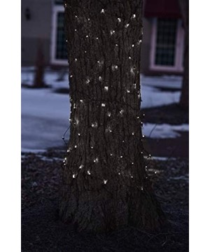 2' x 8' White LED Net Style Tree Trunk Wrap Christmas Lights - Brown Wire - CA184W3TKY4 $14.29 Indoor String Lights