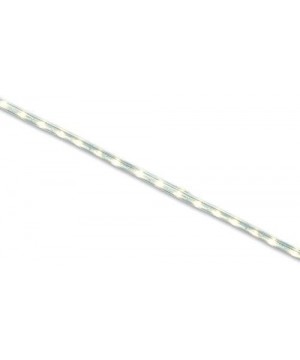 Clear Rope Light - CP111CP68CD $37.20 Rope Lights