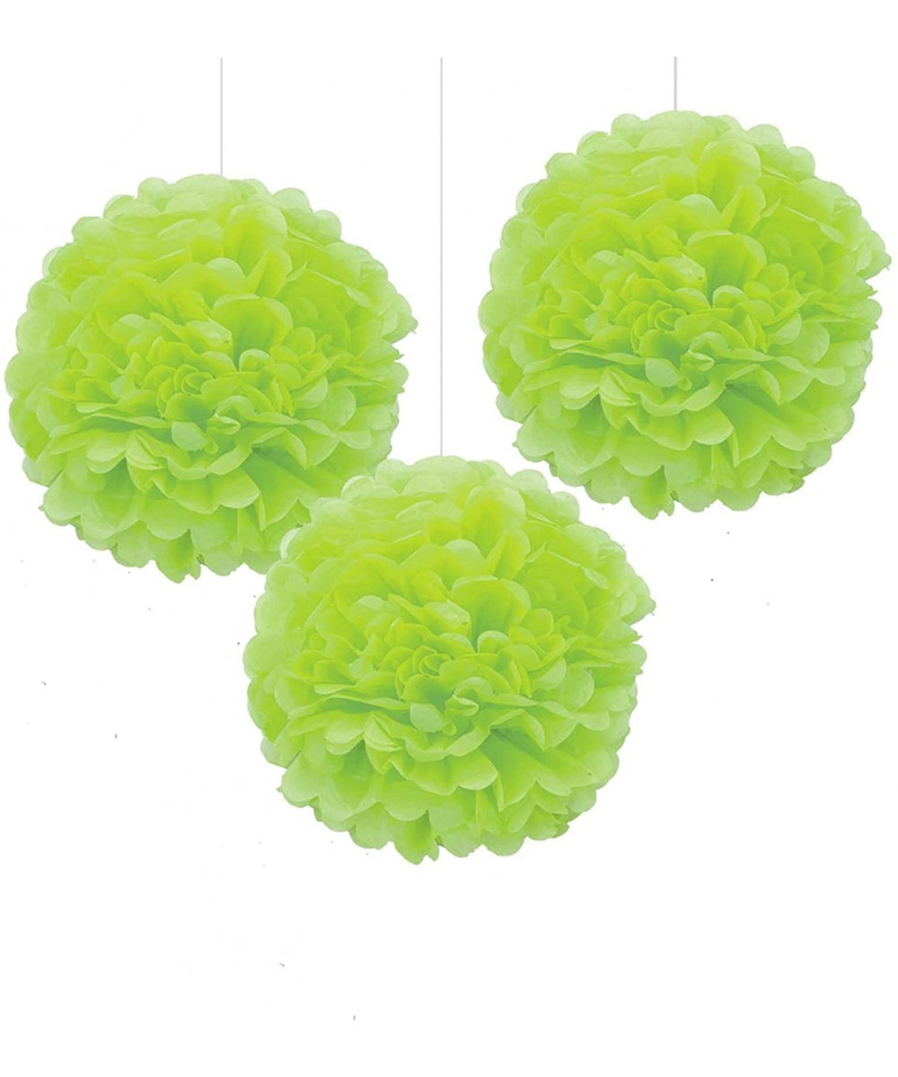 Light Green Tissue Paper Pom Poms- 16" Paper Flower Balls Hanging Party Decorations- Pack of 6 - Light Green - CS19338UT4E $5...