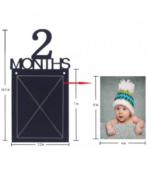 1st Birthday Baby Photo Banner Growth Record 1-12 Month Photo Prop Monthly Milestone Photograph Bunting Garland- First Birthd...